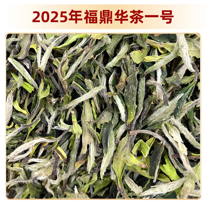 【华茶壹号】福鼎白茶2025年特级白牡丹散茶一芽一两叶花香毫香奶香