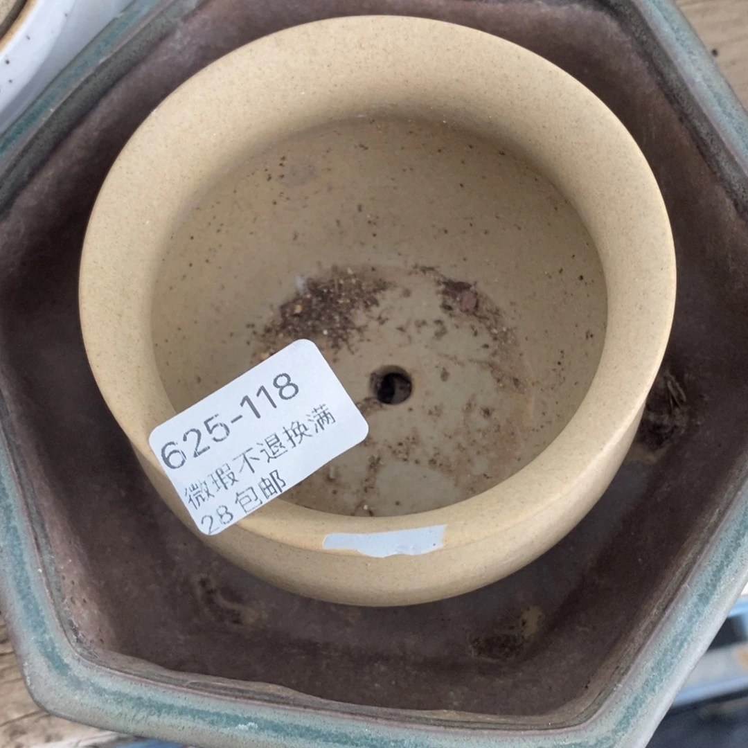 118号多肉盆口径9瑕疵