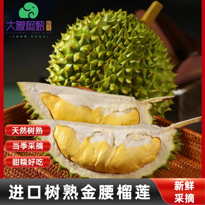 【珠海香洲】纯果肉（1斤）树熟金腰榴莲 现拍现开 珠海小时达【大象树熟榴莲】