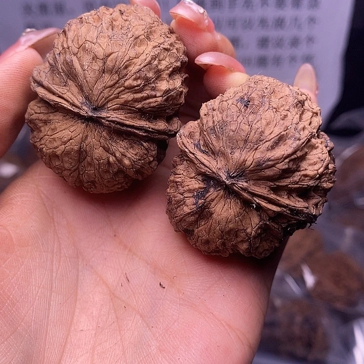 核桃云南野生铁核桃125号44mm