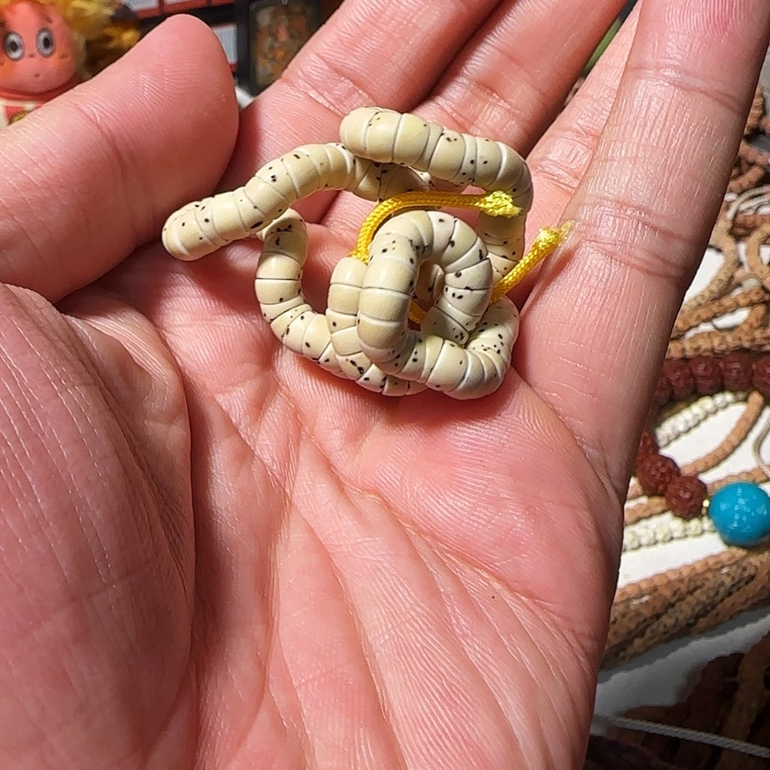 柏香籽/百香籽吊坠原白数星星大肠