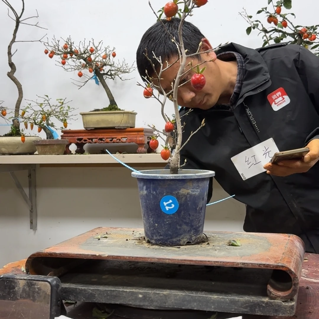 我***以无花朵12顺丰到付
