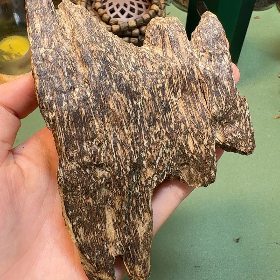 用***1沉香沉香碎屑海南尖峰岭壳子香老料31克