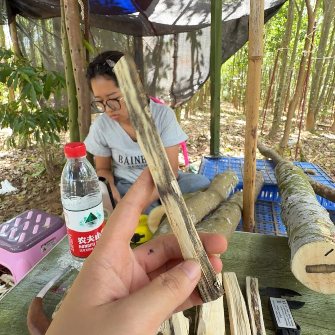 线香奇楠沉香原木