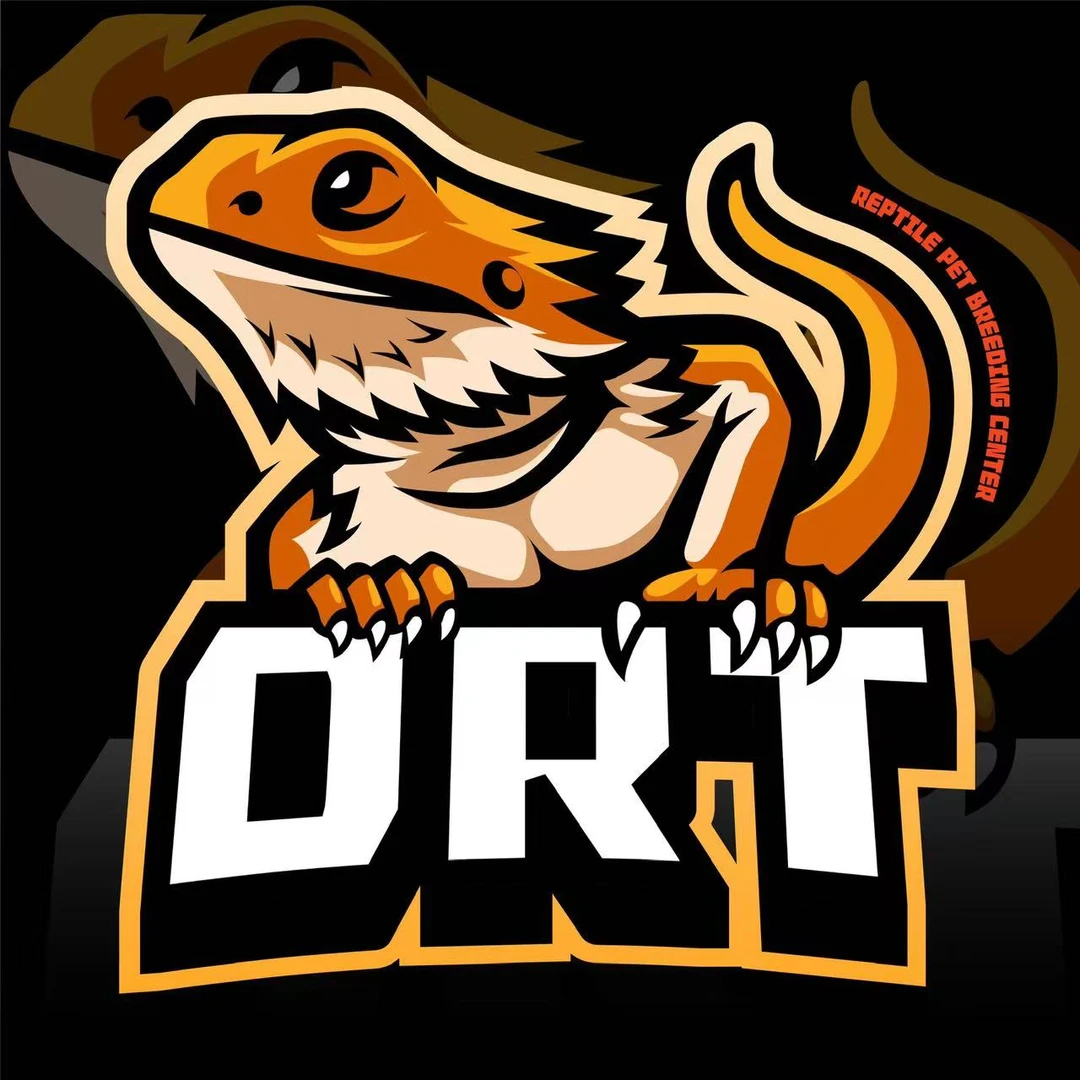 ｛福｝鬃狮蜥活体红黄白爬宠