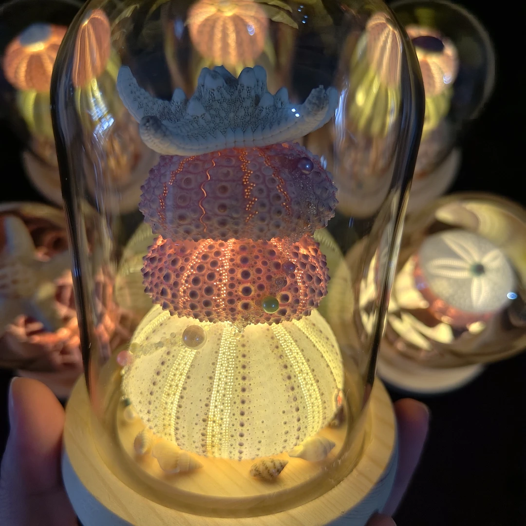 玻璃罩款精致海胆灯生日礼物教师节礼物网红爆款超可爱