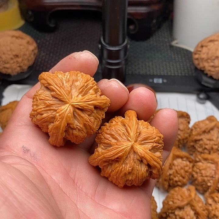 带***猪手串/手链核桃拼接白狮子13