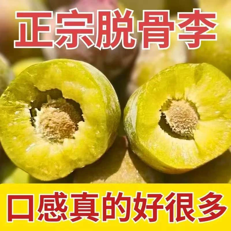 AS【四川半边红】四川脱骨李子5斤现摘孕妇新鲜水果当应季推荐