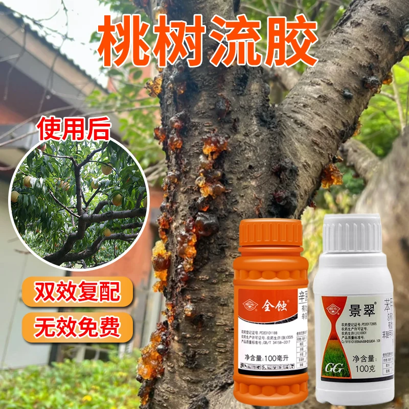 国光景翠苯甲·丙环唑桃树流胶叶斑病专用杀菌剂植物果树果园通用
