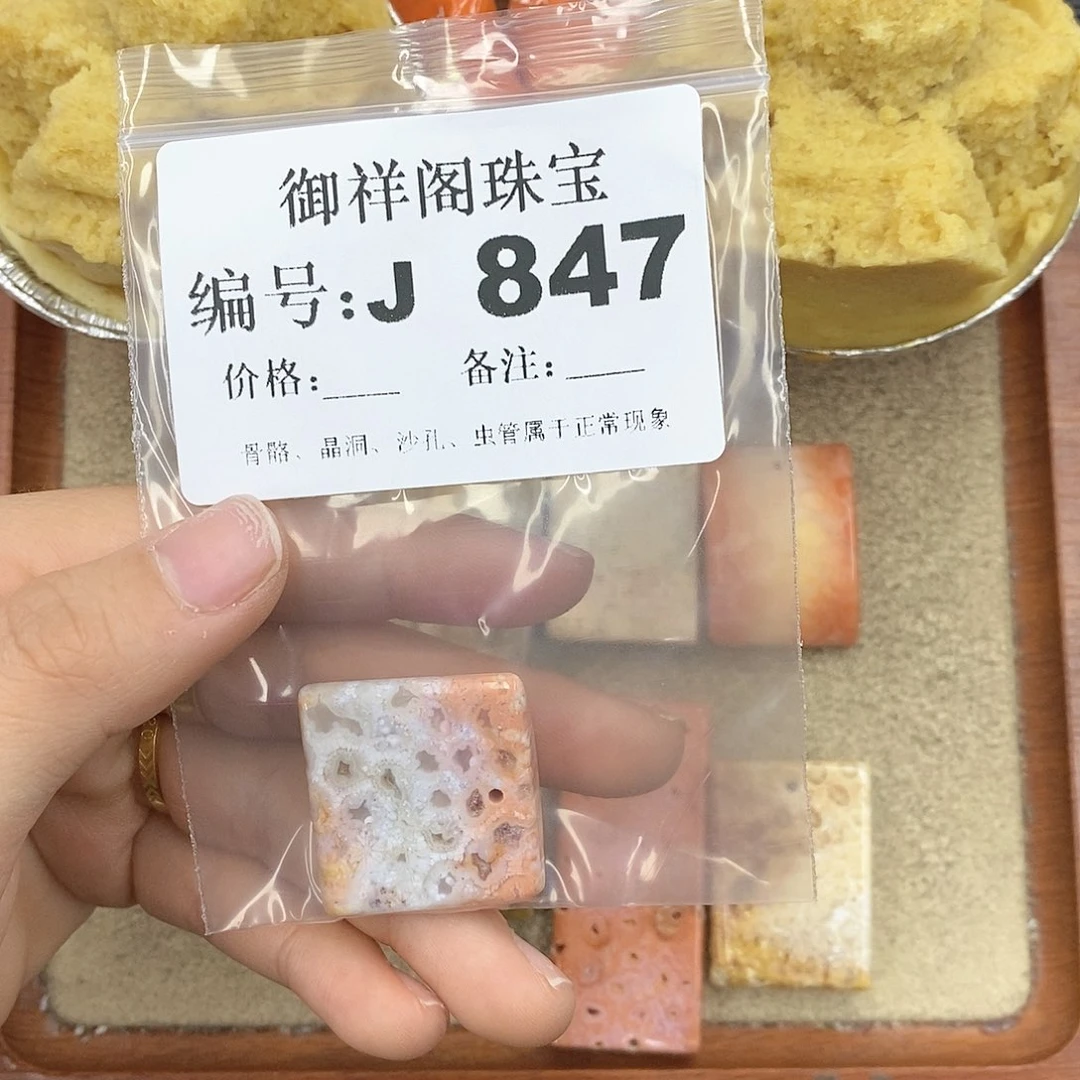 硅化珊瑚（珊瑚玉）颈饰未镶嵌用****2