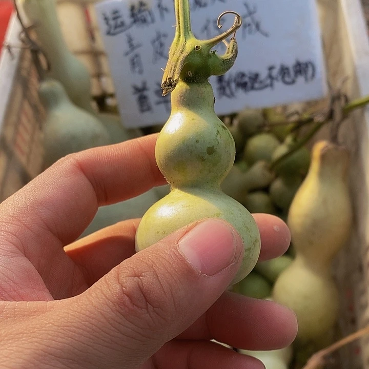 去**儿哈哈哈哈哈哈哈哈哈哈哈哈