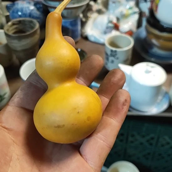 碗真*瓷器活动的人吗