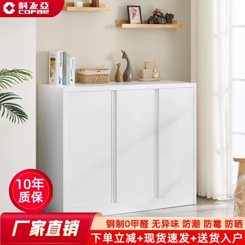 厂家阳台柜收纳柜鞋柜家用门口2025年新款高级感轻奢餐边柜铁皮柜