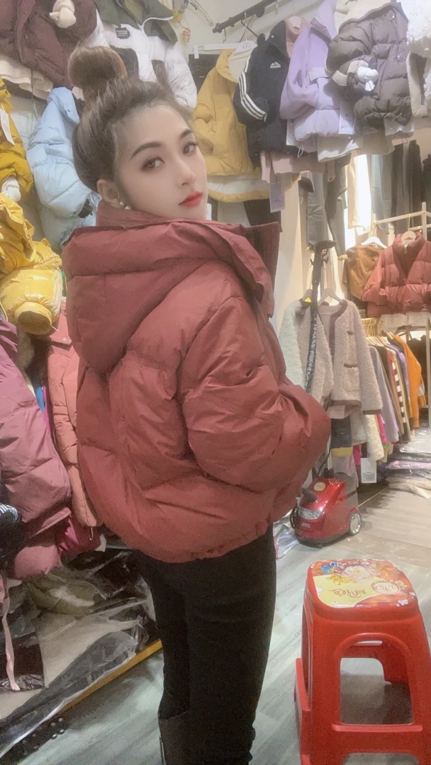 插肩袖短款拉链立领女装休闲宽松纯色女士百搭秋冬