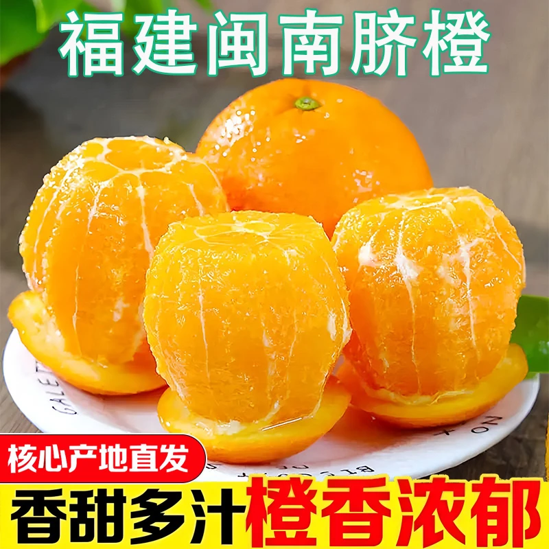 正宗福建闽南脐橙现摘现发当季新鲜水果产地整箱直发橙子