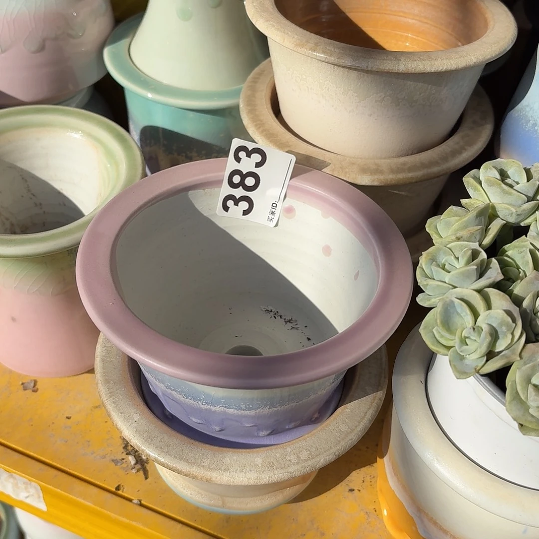 小****景德镇多肉花盆383
