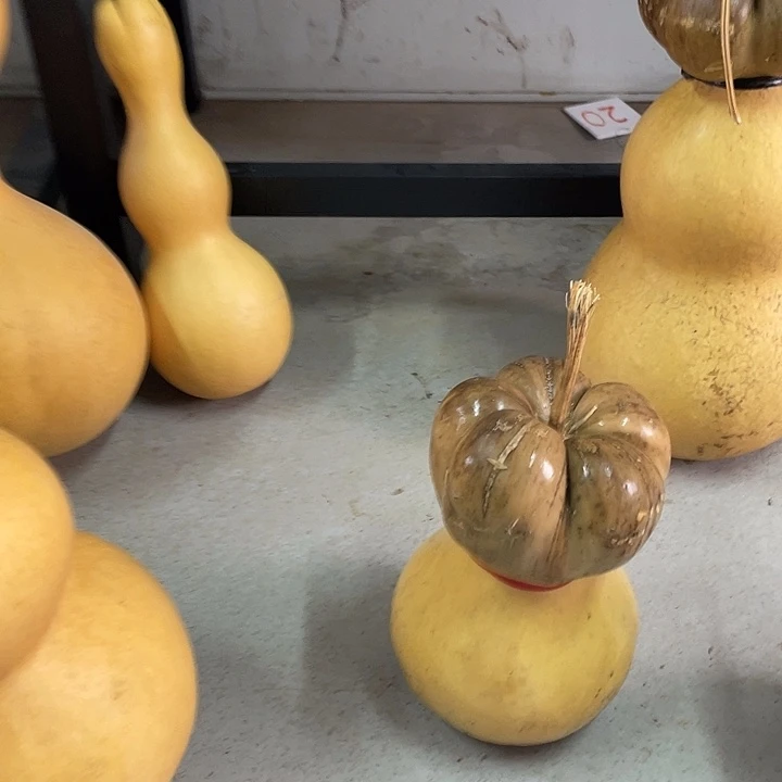 莲花头无暇葫芦娃