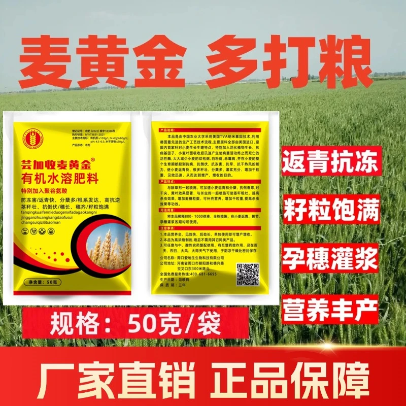 麦小麦专用高产增产抗倒伏籽粒饱满防冻一喷三防水溶强力叶面肥