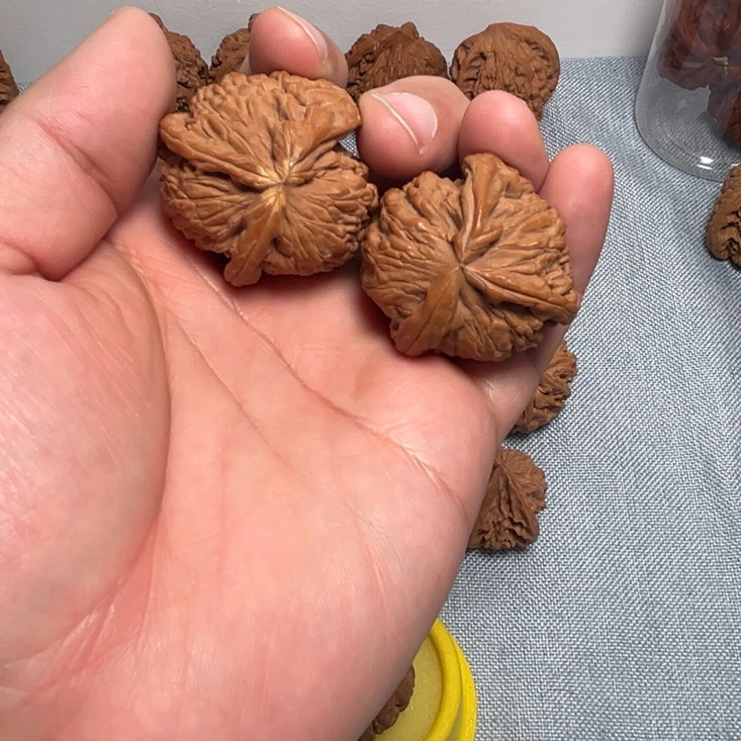 该***在核桃核桃核桃核桃