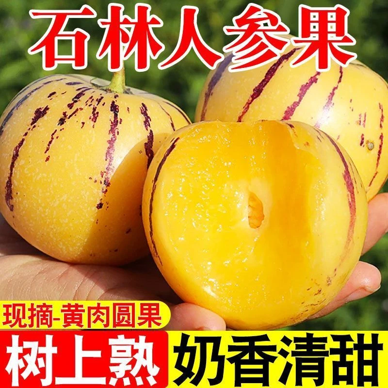 人参果现摘新鲜圆果黄肉果清甜多汁适合孕妇