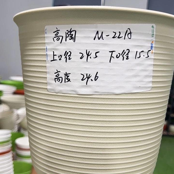 正品高陶口24高24果绿色5个无托