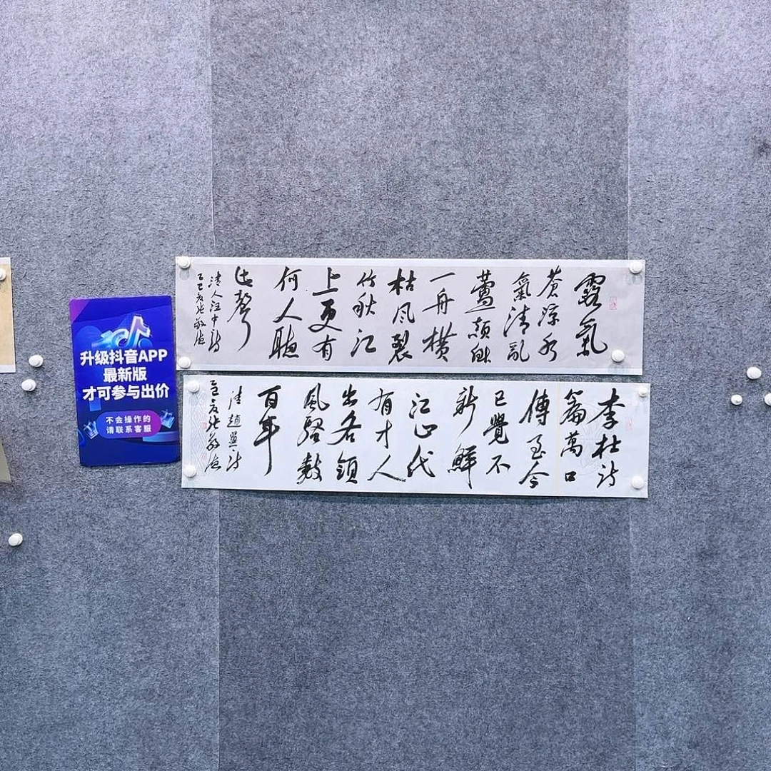 书法书法ZJD书法作品