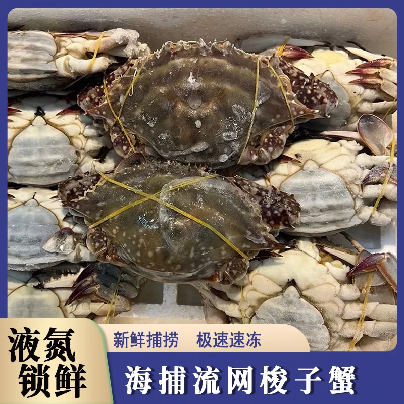 【买三斤送一斤】舟山野生梭子蟹4-6两到手7-9只全母大肉蟹海捕4斤带箱液氮锁鲜顺丰冷链发货【冻蟹】螃蟹