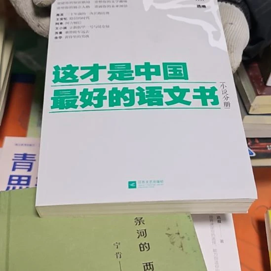 这才是中国最好的语文书小说分册（务必塑封）