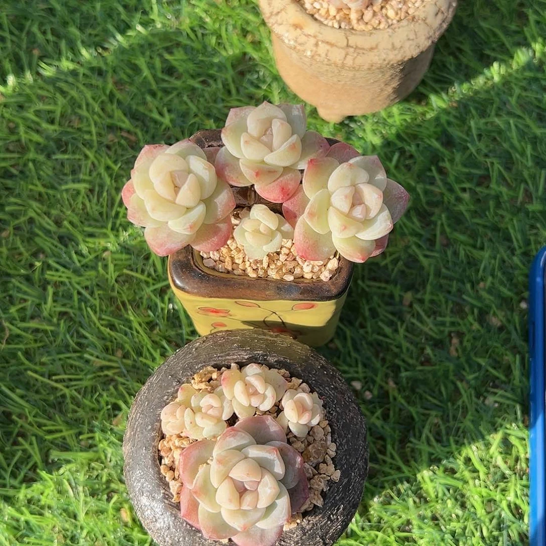 野*cjghghghvgvbvvhhhbhhh