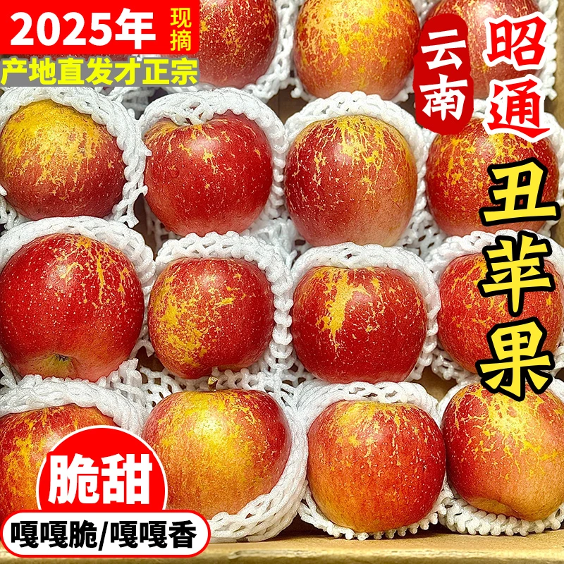 【昭通生态丑苹果】正宗云南昭通丑苹果冰糖心苹果新鲜水果2/5/9斤