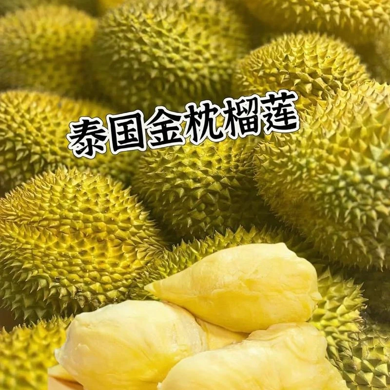 66号一物一拍泰国金枕榴莲新鲜核小3100克左右金枕泰国