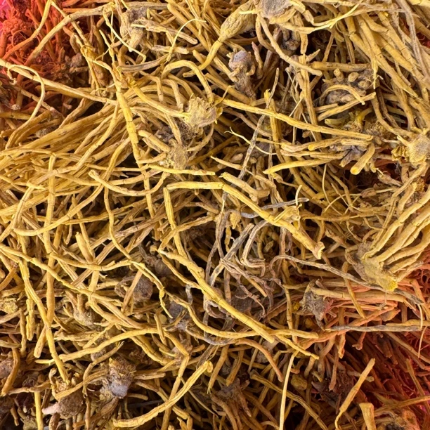云南土特产-龙须石斛（黄龙根）