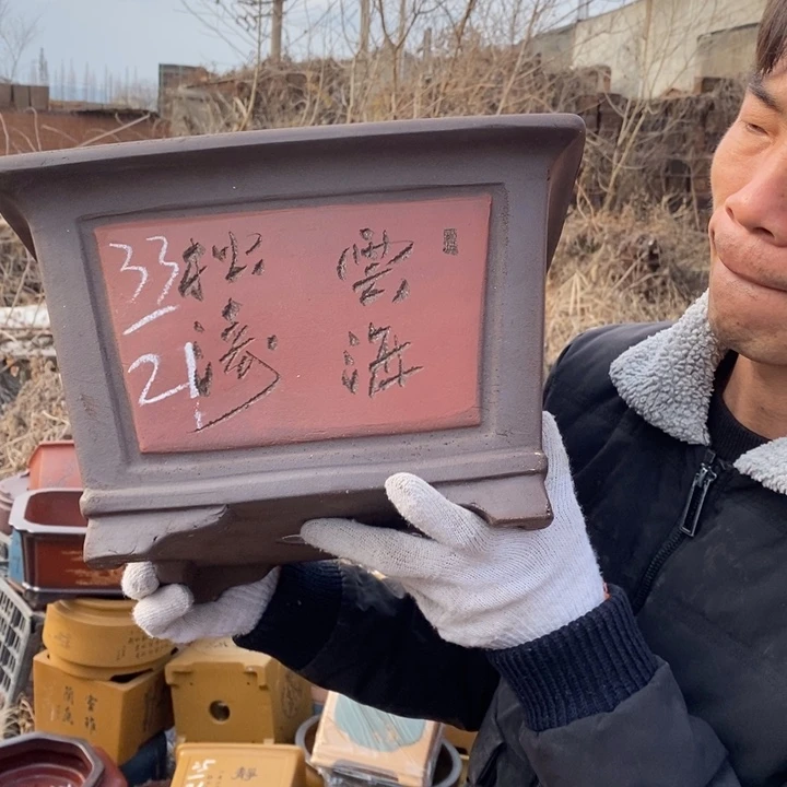 花盆紫砂紫砂艺术学院