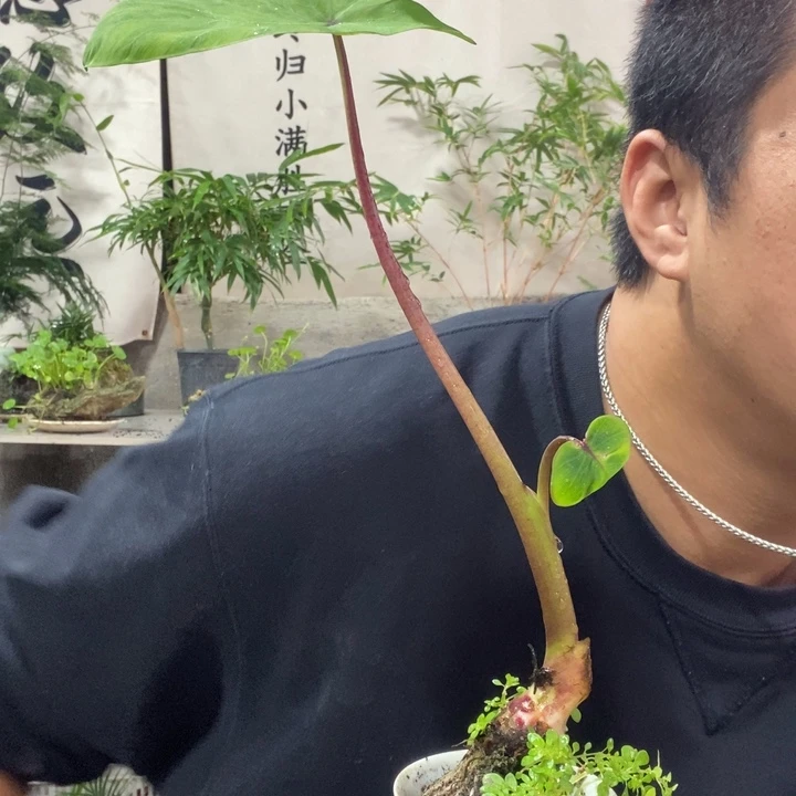 以实际为准退款拉黑拉黑10