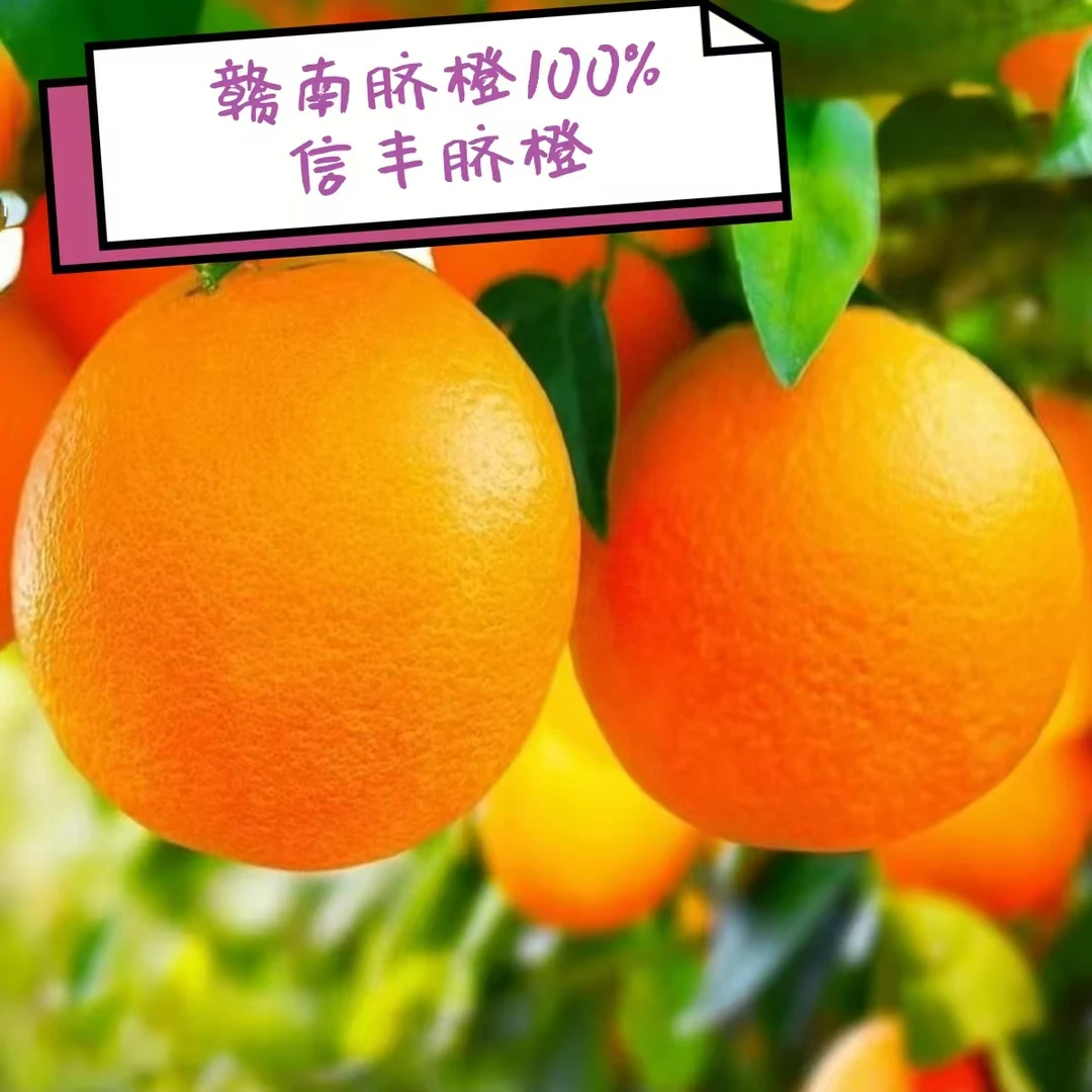 赣南脐橙正宗江西赣南信丰脐橙新鲜现摘产地直发香甜多汁水果