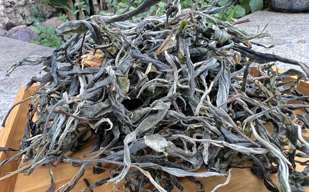 凤庆2025年早春大树普洱生茶晒青绿茶清甜鲜爽