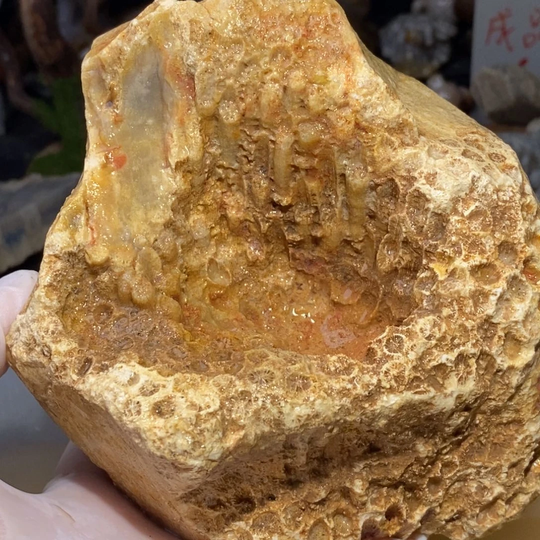 【闪购商品】硅化玉颈饰未镶嵌
