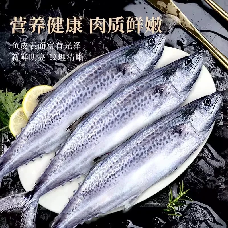 【专属】大连深海野生燕鲅鱼/马鲛鱼/海捕海鲜水产4.8斤-5.2斤