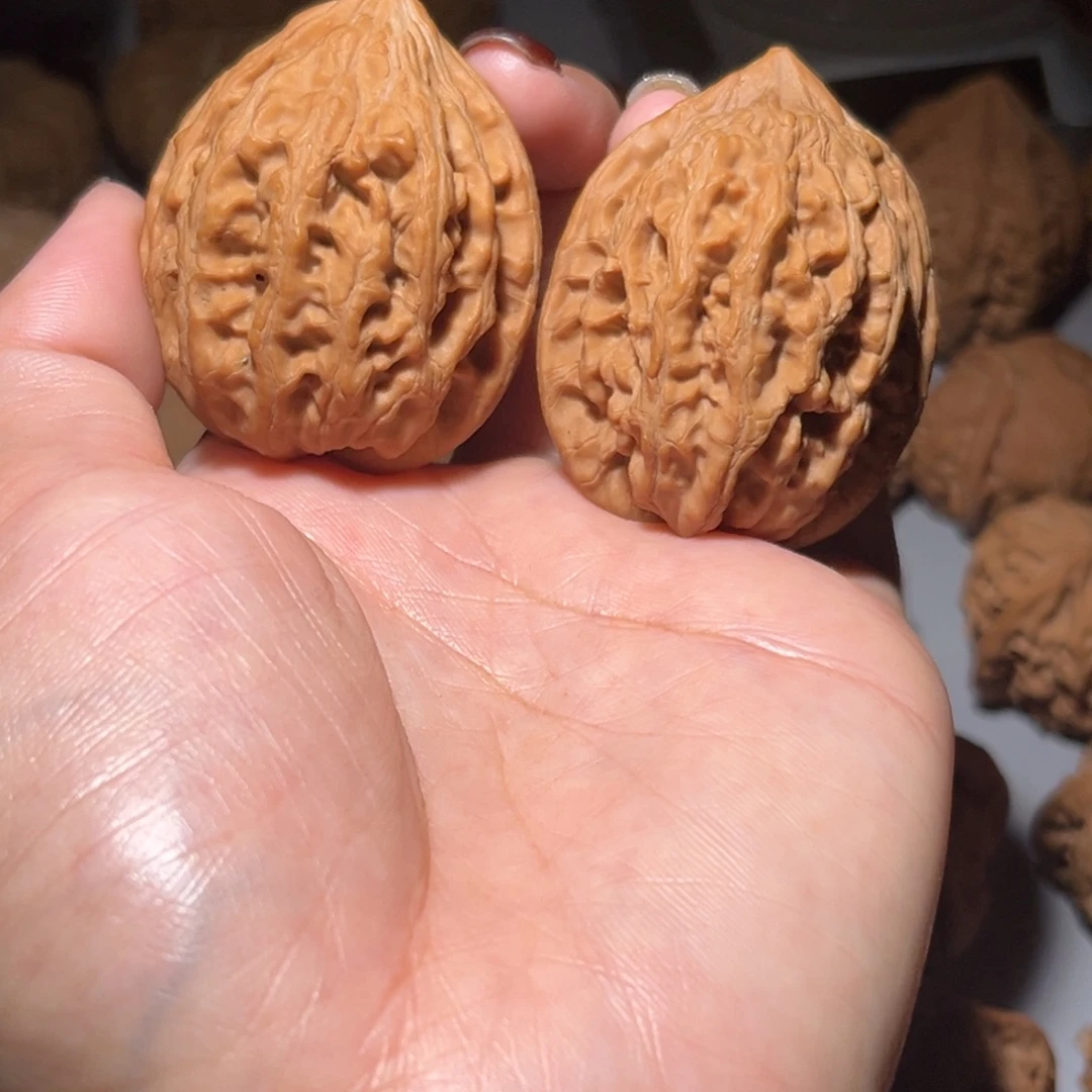 木质类大沽石40全品