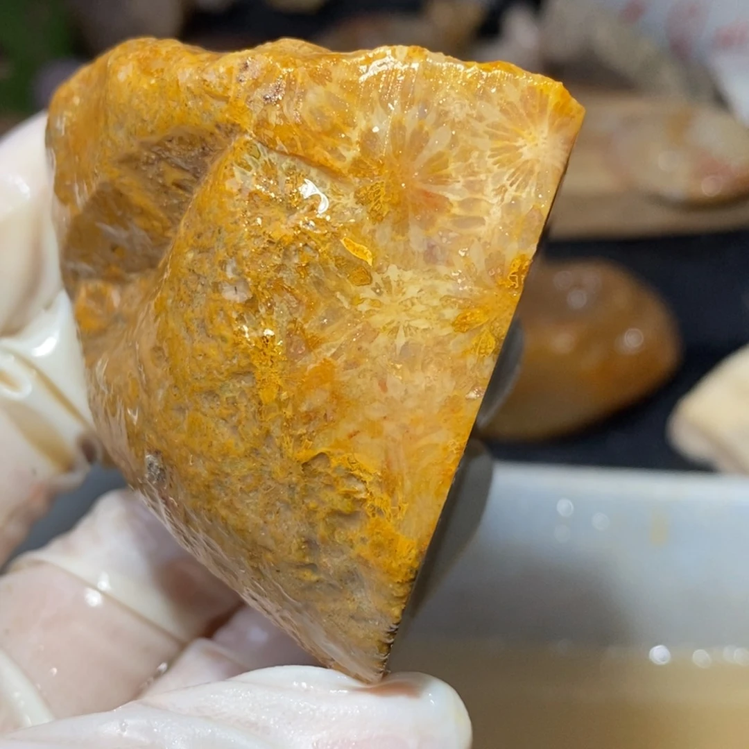 【闪购商品】硅化玉颈饰未镶嵌