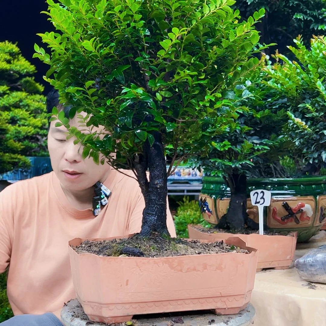 以实际为准用****512345678