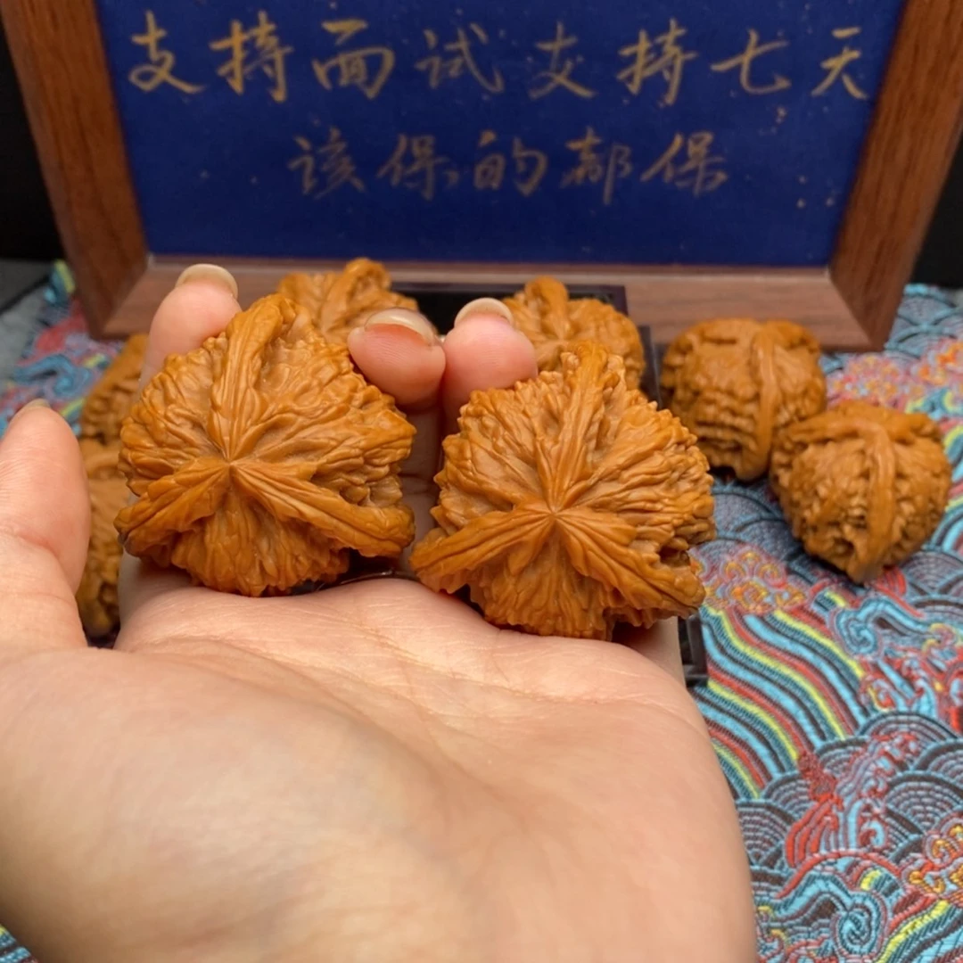 【闪购商品】仅**已白狮