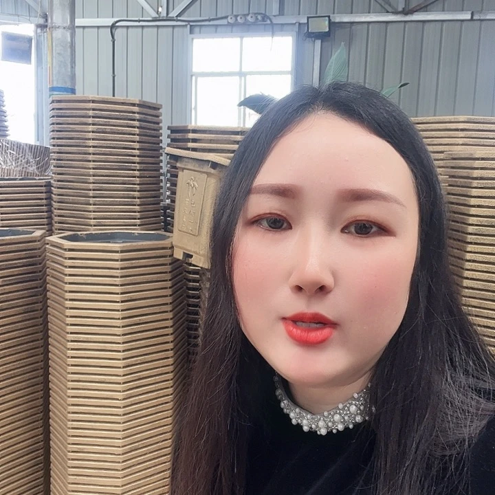 蜜*塘八角50花盆4个