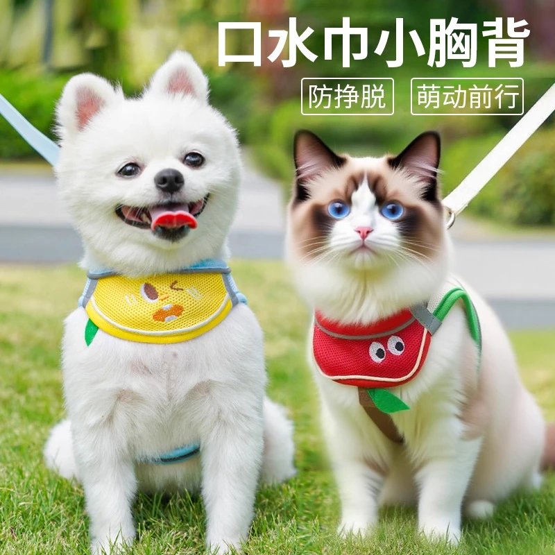 有宠星球狗狗牵引绳猫咪小型犬宠物专用遛绳口水巾胸背带泰迪比熊