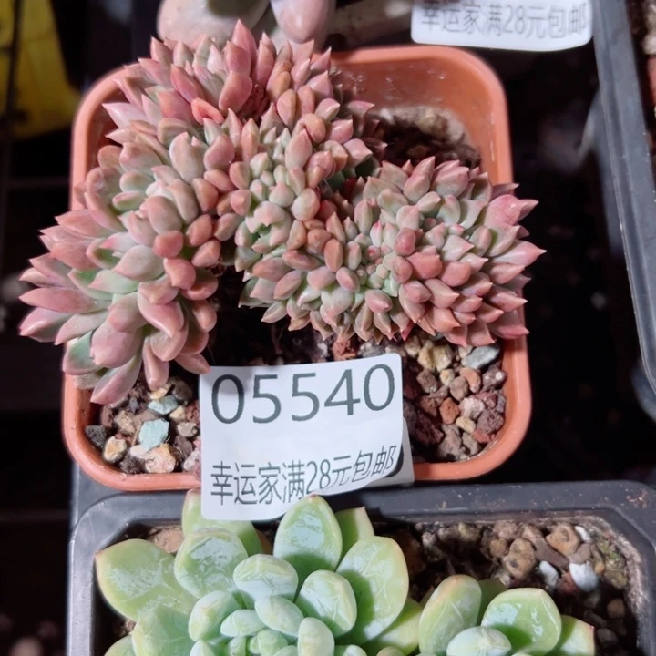 幸运的是我还没遇到过