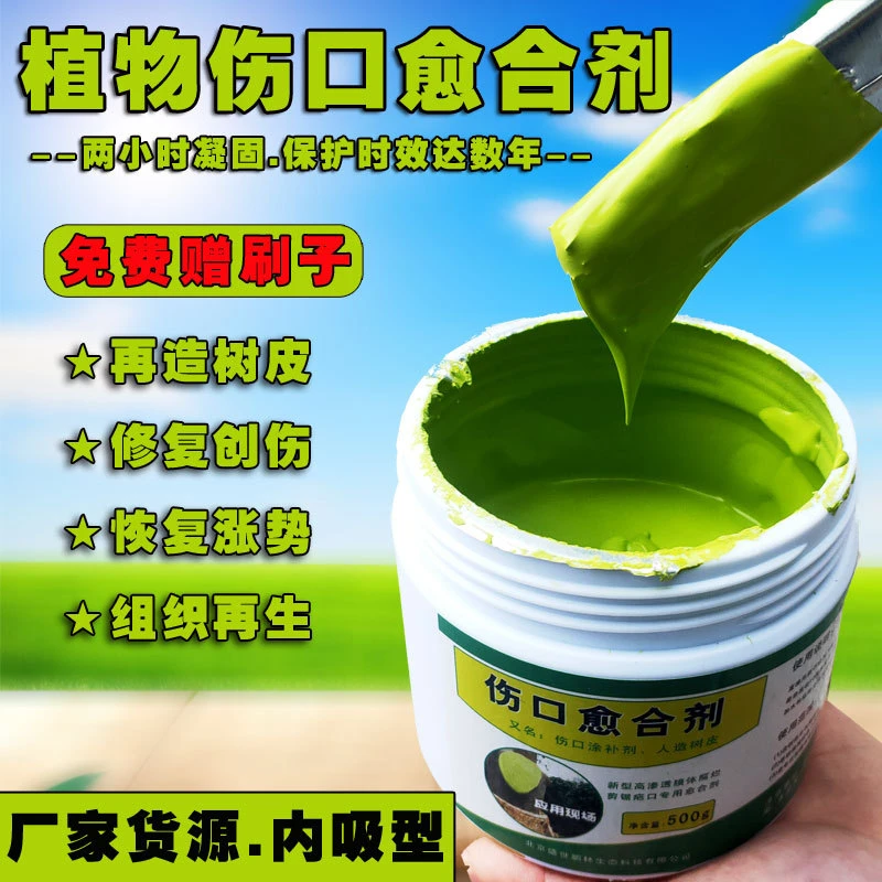 伤口涂补剂大树桩涂抹剂果树涂膜剂封口愈合修复愈合膏盆栽愈合剂