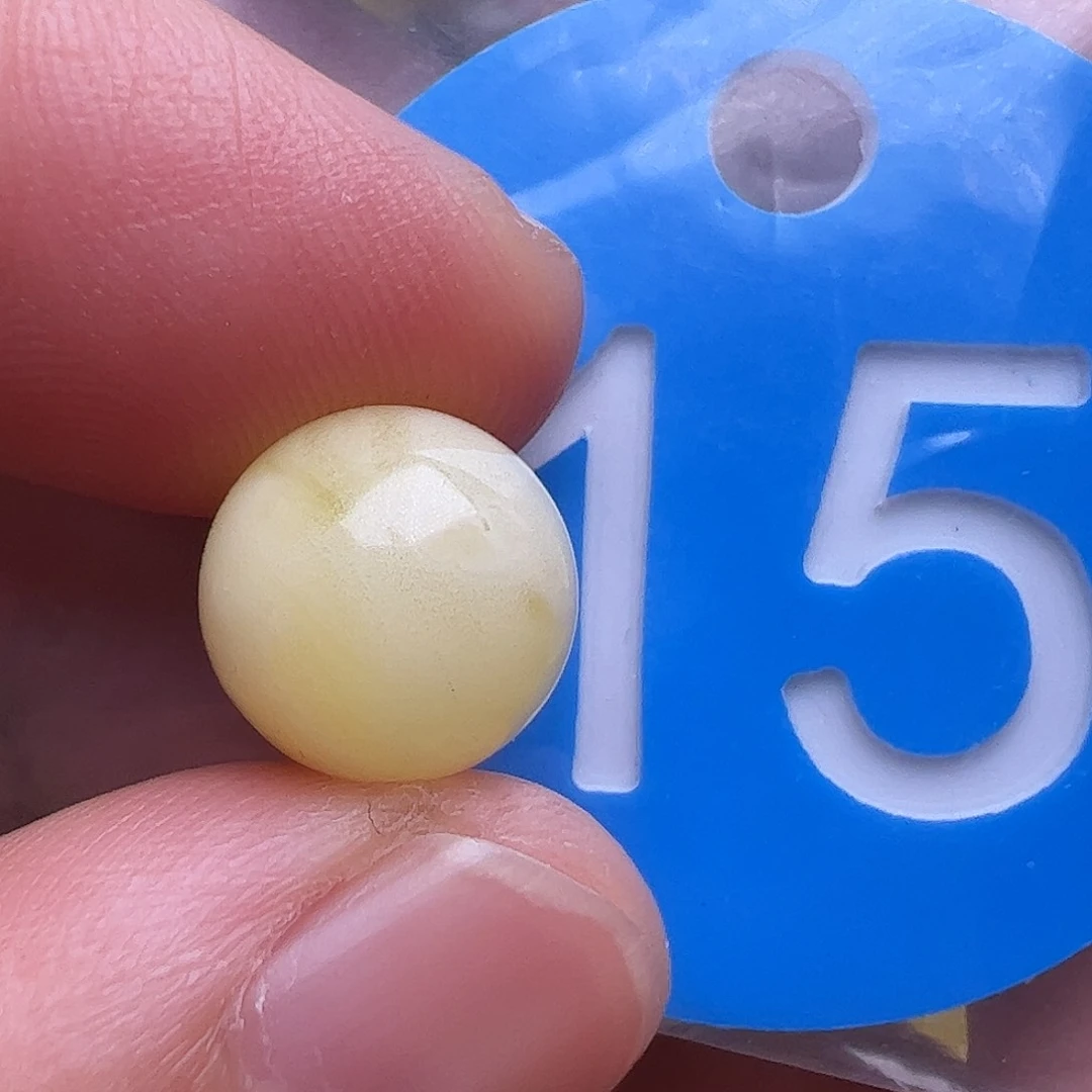 未镶嵌蜜蜡裸石10mm划痕