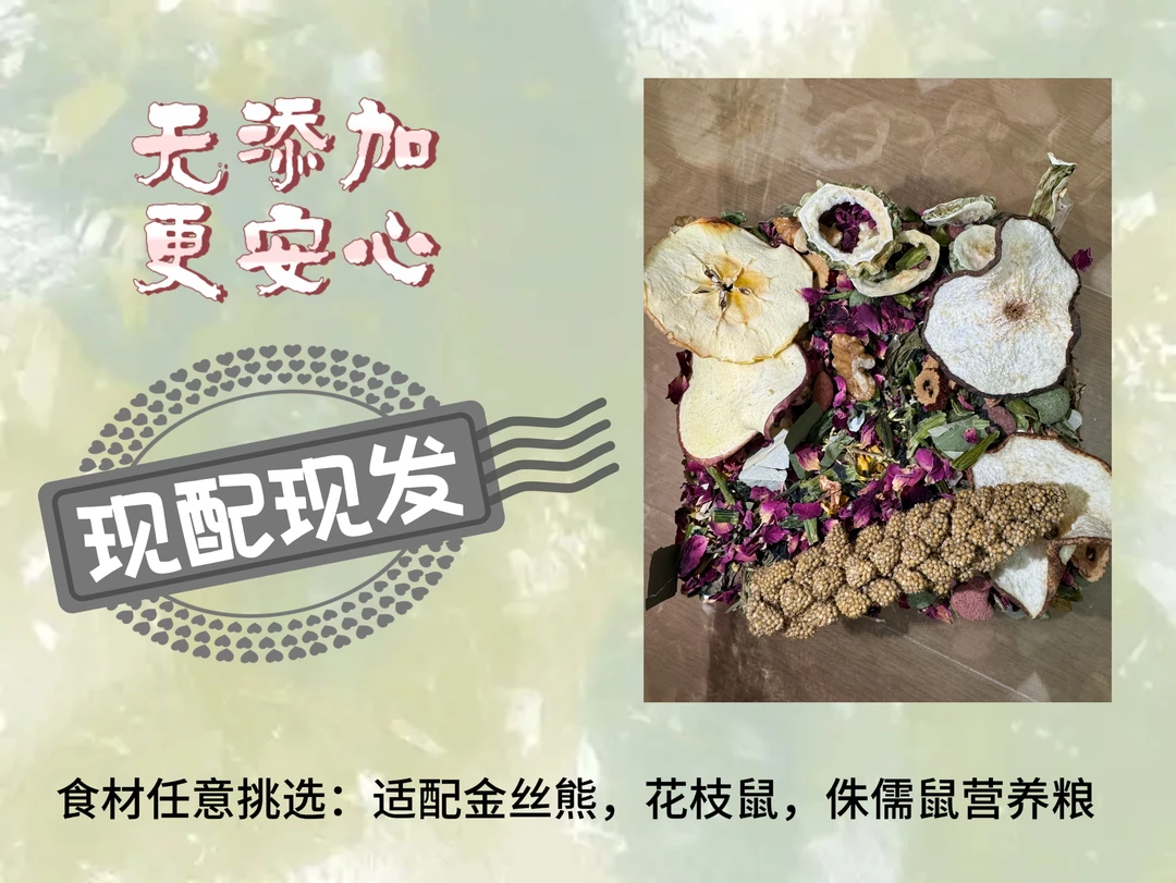 仓鼠粮多种食材适配仓鼠金丝熊营养全面