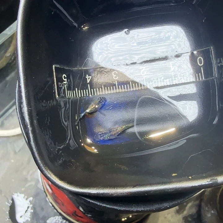 青鳉鱼34号拍品蓝宝石球球