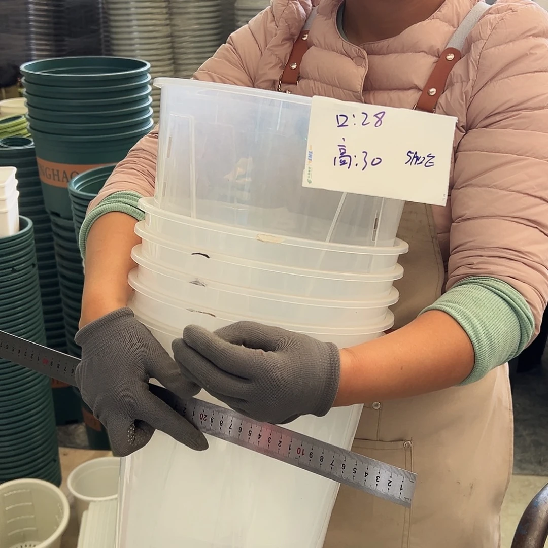 瑕疵Q28#透明5个无托